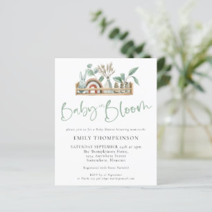 Budget Baby In Bloom Boho Shelf Baby Shower Invite