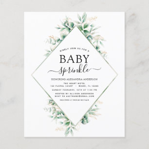 Budget Baby Shower Sprinkle Eucalyptus Geometric Flyer
