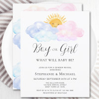 Budget Blue And Pink Gender Reveal Invitation