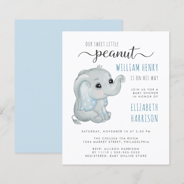 Budget Blue Elephant Watercolor Baby Boy Shower (Front/Back)
