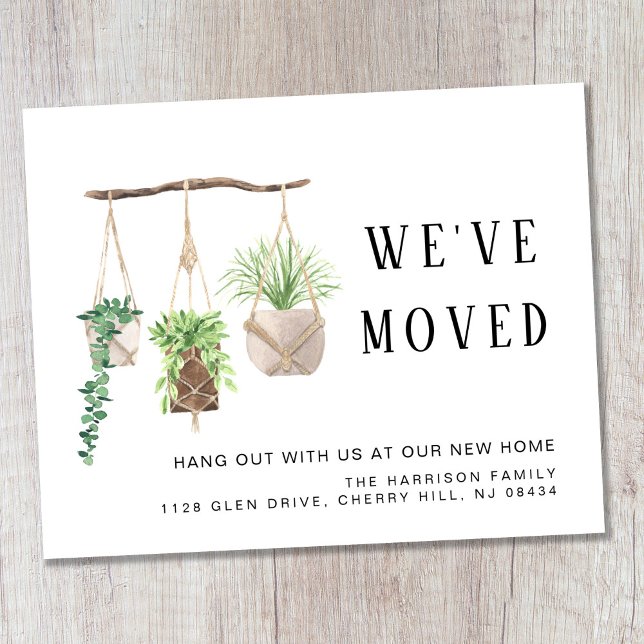 Budget Boho New House Plants Moving Announcement (Creator Uploaded)