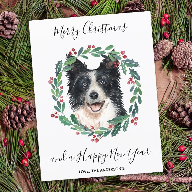 Budget Border Collie Dog Merry Christmas Card (Creator Uploaded)