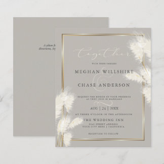 Budget but Beautiful Elegant Ivory Pampas Grass