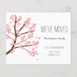 Budget Cherry Blossoms Sakura Tree We've Moved