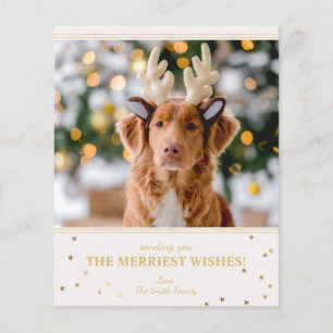 Budget Christmas Photo