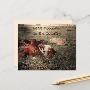 Budget Cow Rustic Country Funny Farm Moving Card