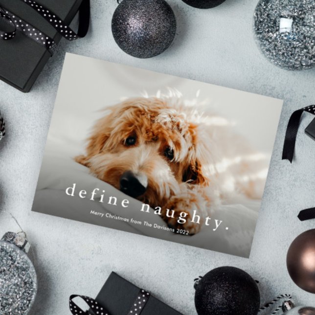 Budget Define Naughty Funny Pet Christmas Card (Creator Uploaded)