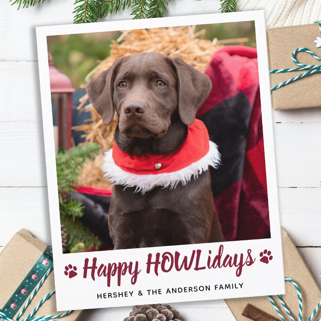 Budget Dog Lover Pet Photo Christmas Holiday Card (Creator Uploaded)