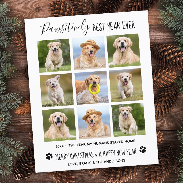 Budget Dog Year Review Photo Collage Holiday Card (Creator Uploaded)