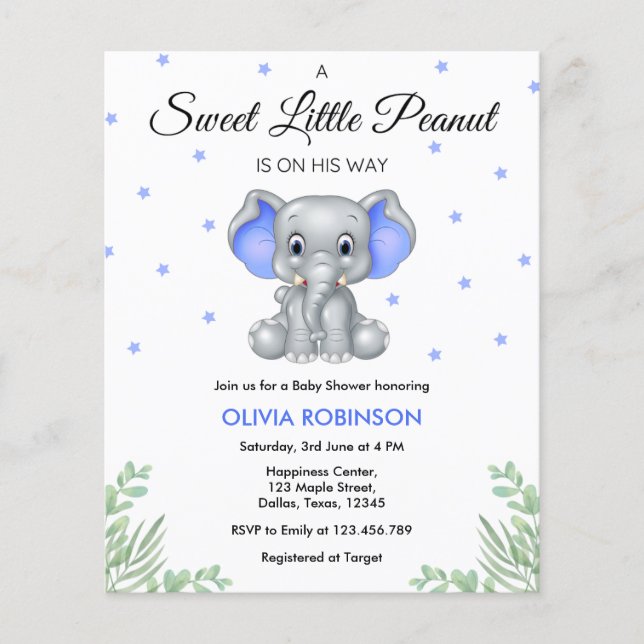 Budget Elephant Blue Boy Baby Shower Invitation  Flyer (Front)