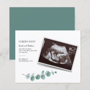 Budget Eucalyptus Greenery Pregnancy Baby Reveal