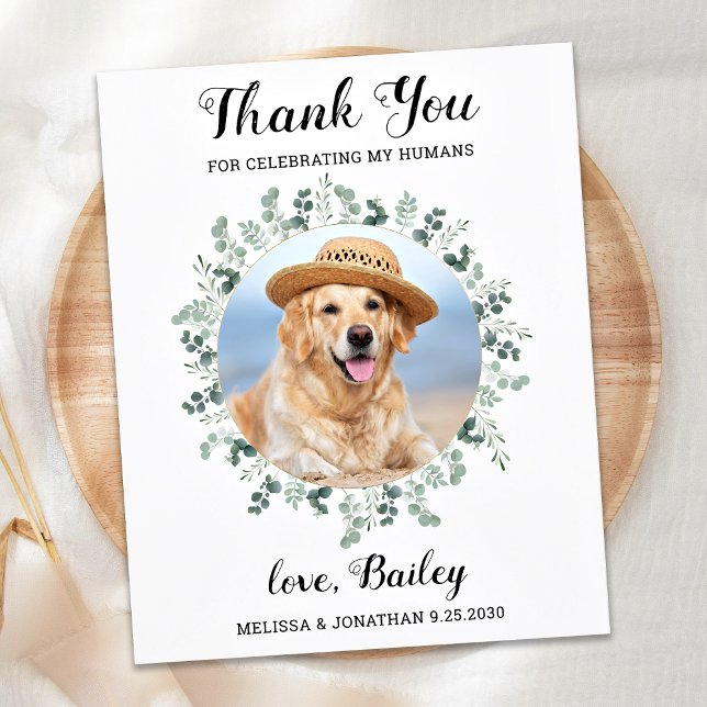 Budget Eucalyptus Pet Photo Dog Wedding Thank You (Creator Uploaded)