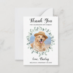 Budget Eucalyptus Pet Photo Dog Wedding Thank You Card