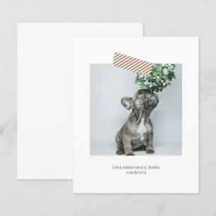 Budget Fun Striped Tape Christmas Photo