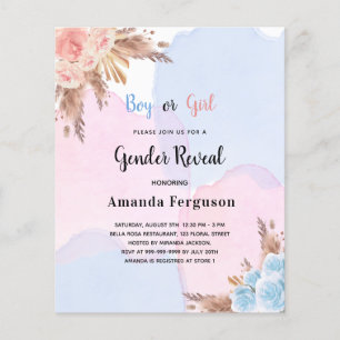 Budget gender reveal pampas grass pink blue