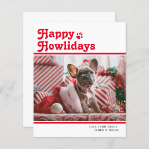 BUDGET Happy Howlidays Pet Dog Christmas Card
