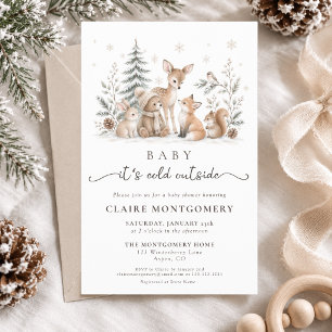 Budget It’s Cold Outside Cosy Winter Baby Shower Flyer