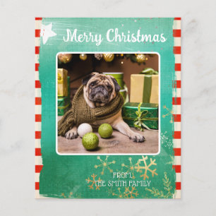 Budget Merry Christmas Pet Photo