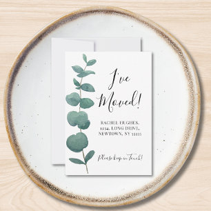 Budget Mini I've Moved Eucalyptus Announcement