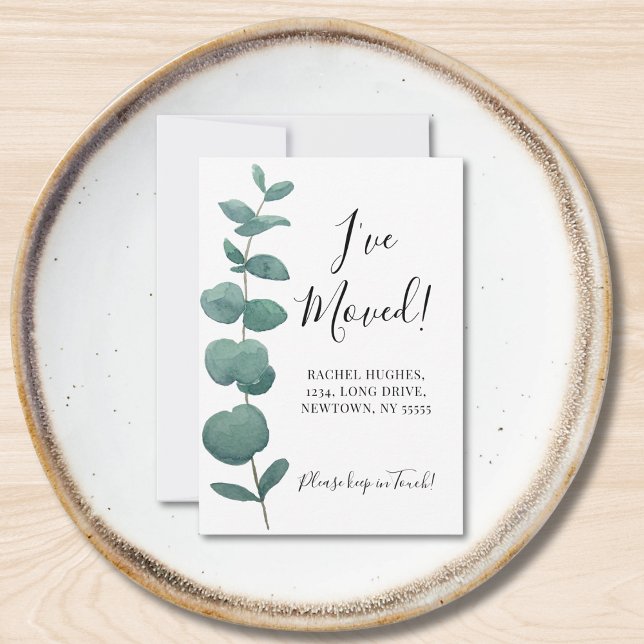 Budget Mini I've Moved Eucalyptus Announcement (Creator Uploaded)