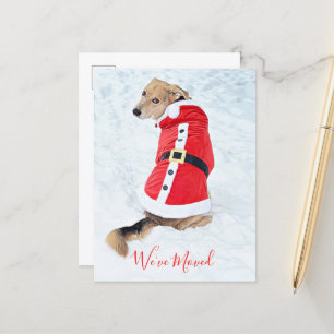Budget Moving Christmas Dog In Cute Red Santa Suit Postcard