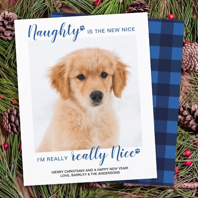 Budget Naught Nice Funny Pet Photo Holiday Card (Creator Uploaded)
