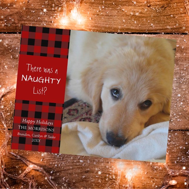 Budget Naughty or Nice Dog Photo Greeting Card (Creator Uploaded)