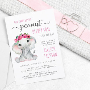 Budget Peanut Elephant Watercolor Baby Girl Shower