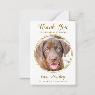 Budget Pet Photo Dog Wedding Chic Gold Thank You Card