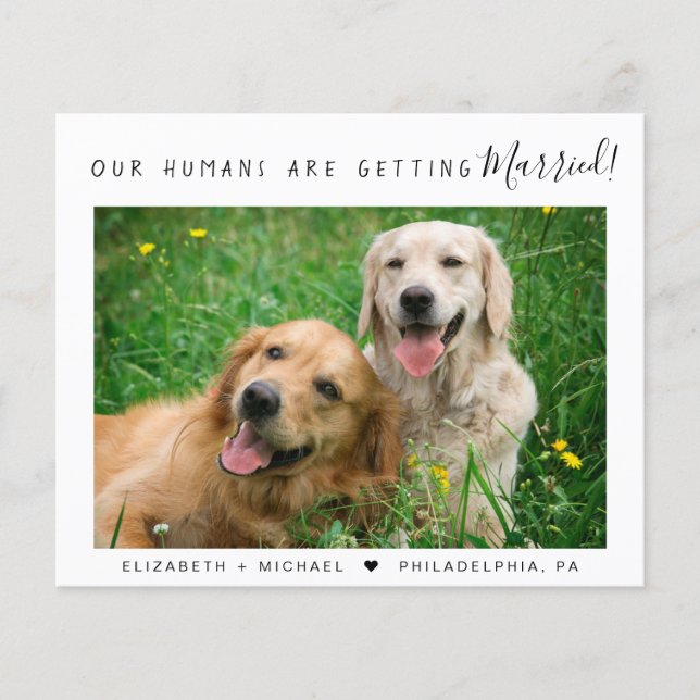 Budget Pet Photo Engagement Announcement (Front)