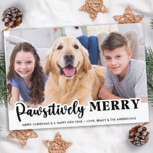Budget Pet Photo Year in Review Cute Dog Holiday Card