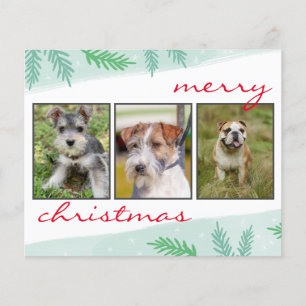 Budget Photo Merry Christmas