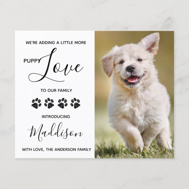 Budget Puppy Love Dog New Pet Announcement (Front)
