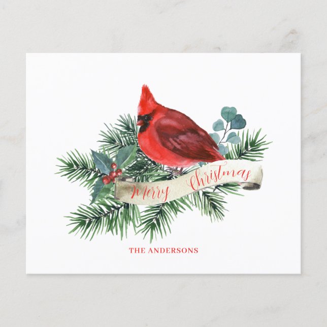 Budget Red Cardinal Christmas Card  (Front)