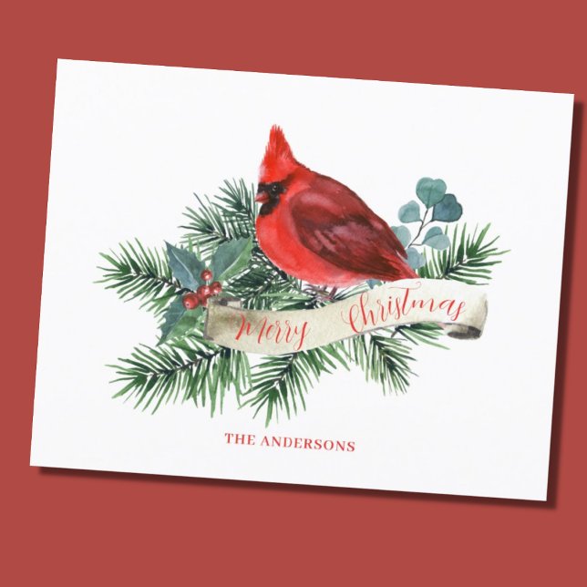 Budget Red Cardinal Christmas Card  (Creator Uploaded)