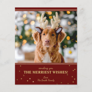 Budget Red Gold Christmas Photo