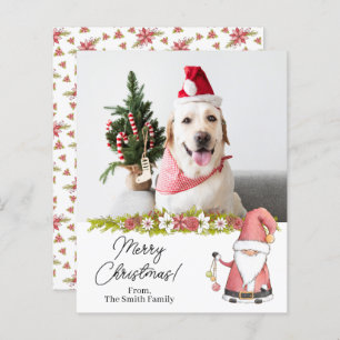 Budget Santa Claus Christmas Photo