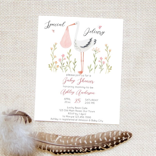 Budget special delivery stork spring baby shower  (Creator Uploaded)