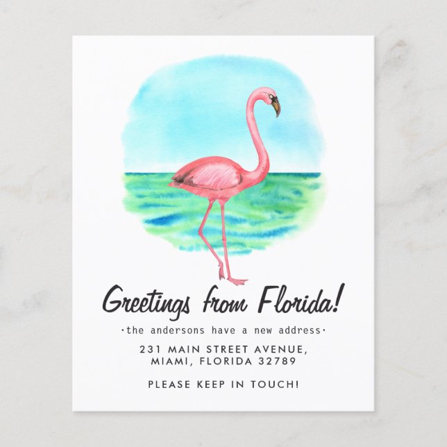 Budget Tropical Flamingo Moved New Address Moving  (Front)