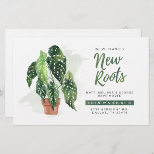 Budget We've Moved Roots Moving Announcement 