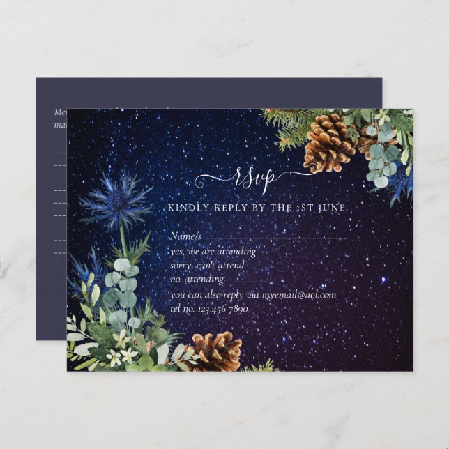 BUDGET Winter Eucalyptus Pine Cones Wedding Postcard (Front/Back)