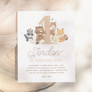 Budget Woodland Animals First Birthday Party