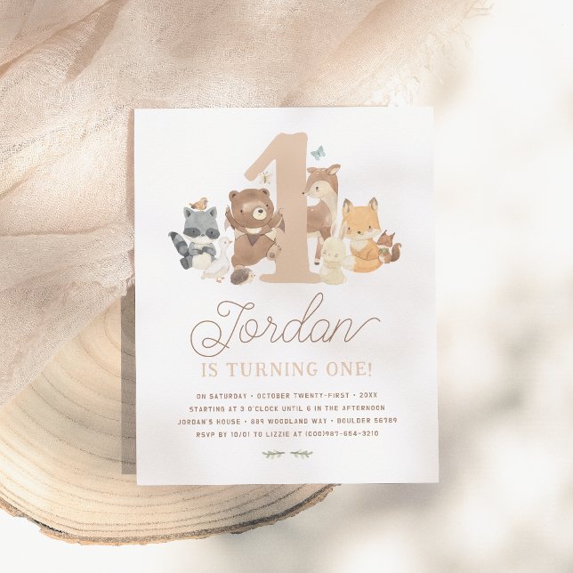 Budget Woodland Animals First Birthday Party (Creator Uploaded)