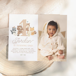 Budget Woodland Animals First Birthday Party Photo