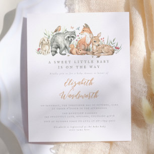 Budget Woodland Forest Animals Vintage Baby Shower