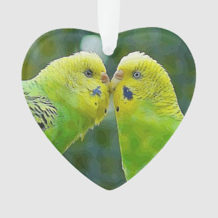 Budgie_2015_0604 Ornament