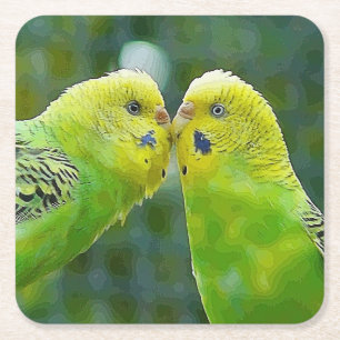 Budgie_2015_0604 Square Paper Coaster
