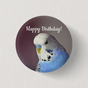 Budgie 4 Birthday 3 Cm Round Badge