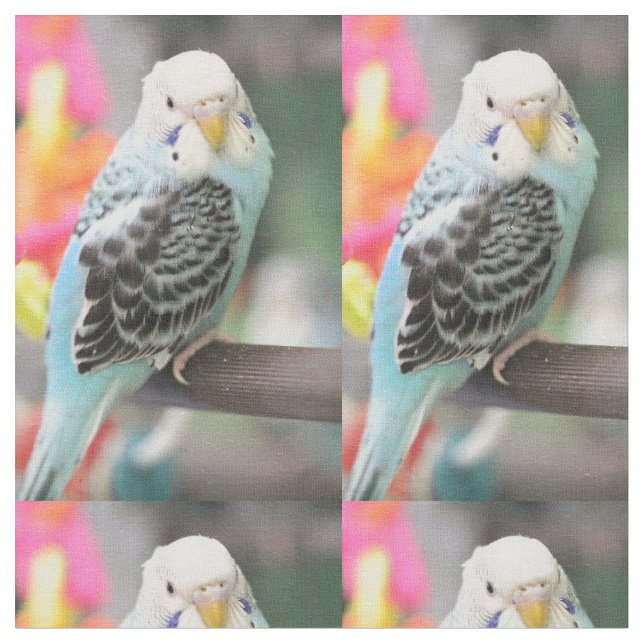 Budgie Fabric (Close Up)