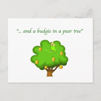 Budgie in a Pear Tree Postcard
